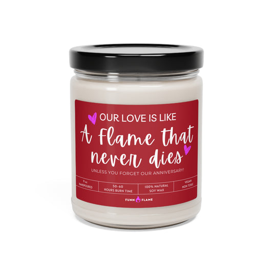 Anniversary Gift, Our Love is Like Funny Candle, Love Gift for Him/Her, Valentines Gift Cinnamon Vanilla 9oz  - HolidayShoppingFinds